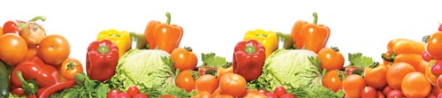1 رژیم غذایی