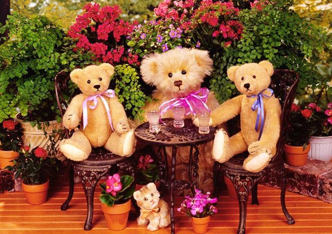 bears www.3et.ir 8 عکس های عاشقانه جدید از عروسک خرس