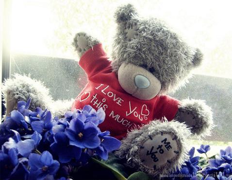 bears www.3et.ir  عکس های عاشقانه جدید از عروسک خرس