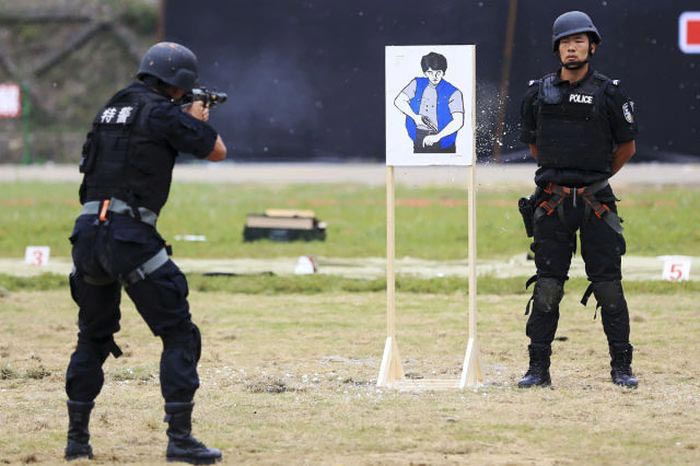 میهن فال 