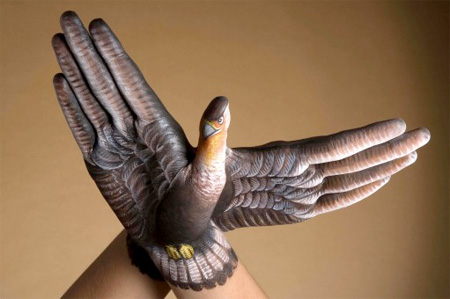 11251478-mihanfal.com (16)