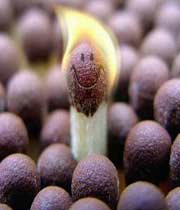 لذت بردن از زندگی