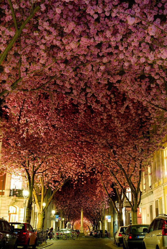 Street-in-Bonn