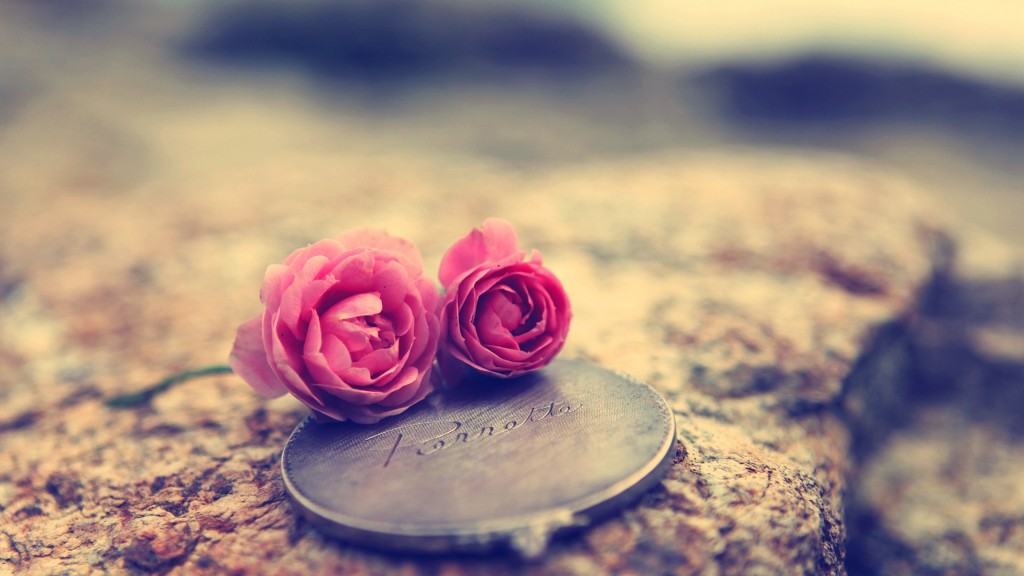 love(mihanfal.com) (11)