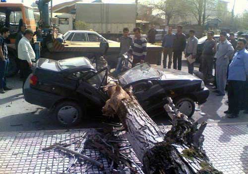 014558001397568454_mihanfal-com (18)