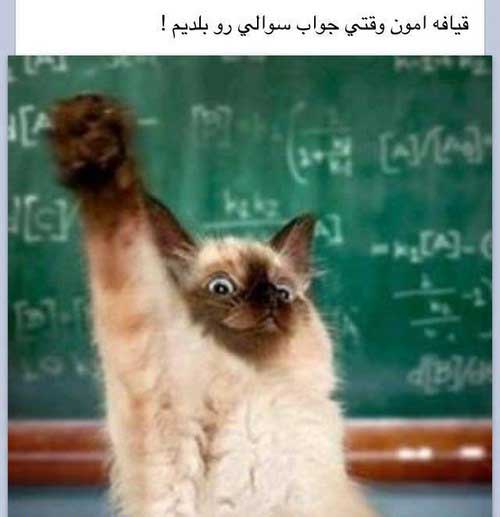 014558001397568454_mihanfal-com (23)