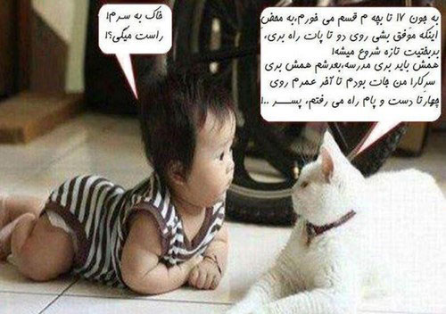 014558001397568454_mihanfal-com (4)