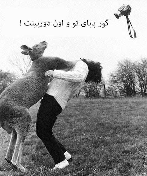 0438001397206358_mihanfal-com (22)
