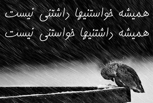239560013960630272_mihanfal (19)