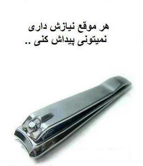 239560013960630272_mihanfal (9)