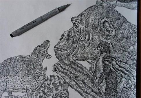 17 (5)