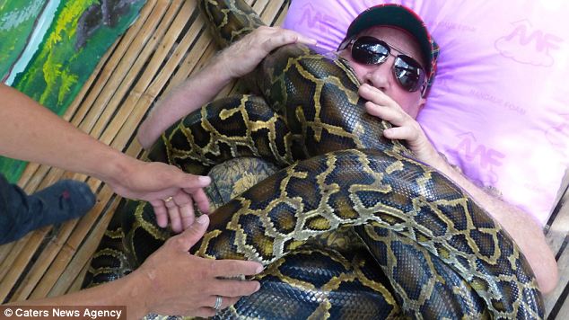 ماساژ افعی ماساژ افعی