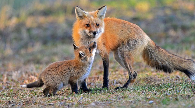 دیدنی های امروز