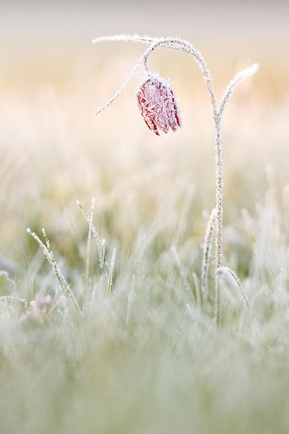 دیدنی های امروز