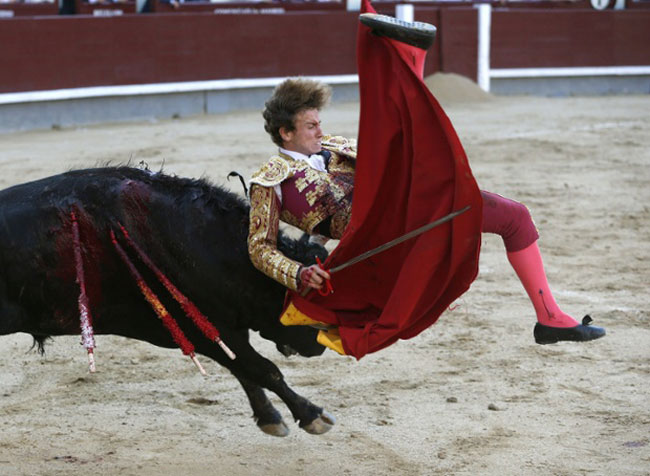 دیدنی های امروز