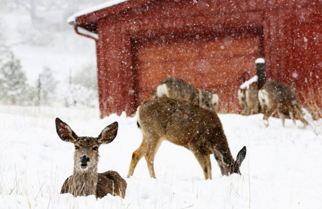 دیدنی های امروز