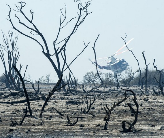 دیدنی های امروز دیدنی های امروز