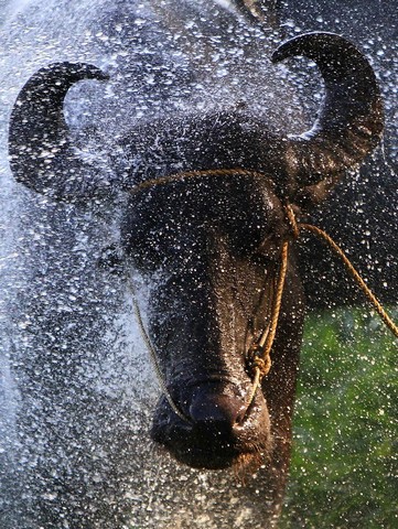 دیدنی های امروز دیدنی های امروز