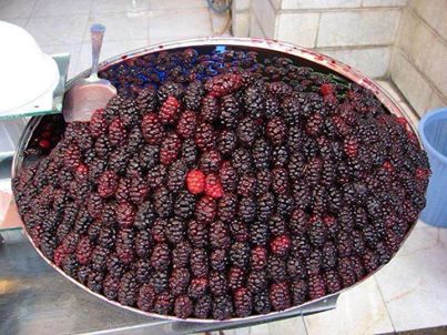 شاتوت و خواص مفید آن