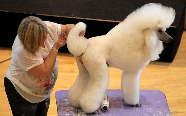 دیدنی های امروز