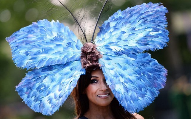 دیدنی های امروز