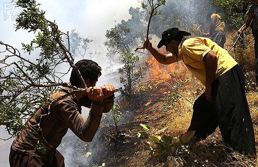 آتش سوزی در بیش از ۲۵۰ هکتار از مراتع مریوان/FARS 