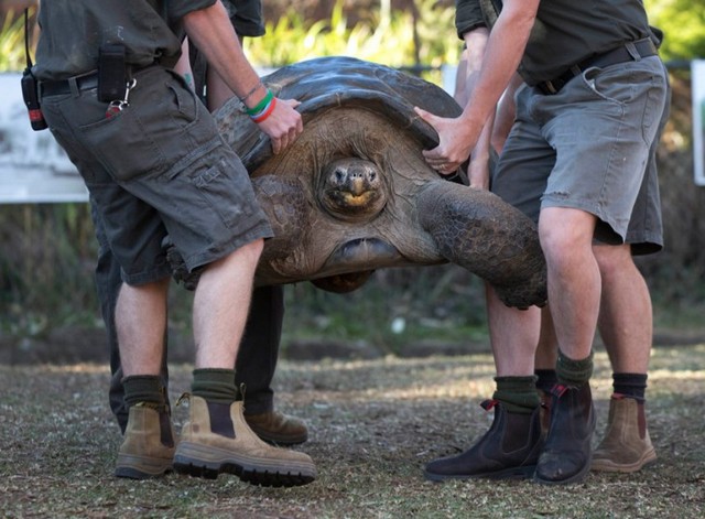 دیدنی های امروز دیدنی های امروز