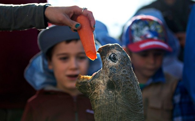 دیدنی های امروز دیدنی های امروز