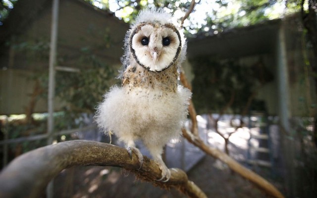 دیدنی های امروز دیدنی های امروز