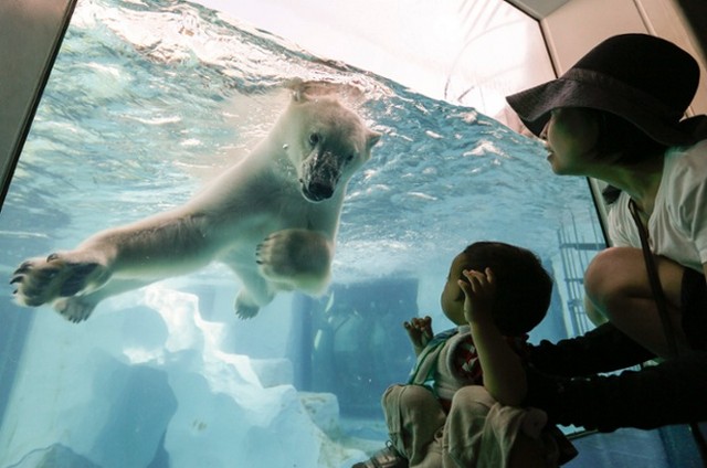 دیدنی های امروز دیدنی های امروز