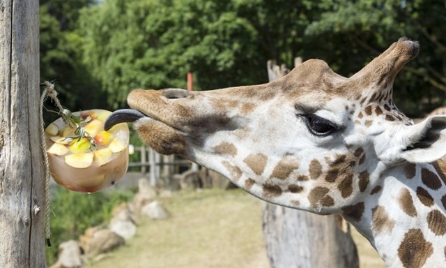 دیدنی های امروز دیدنی های امروز