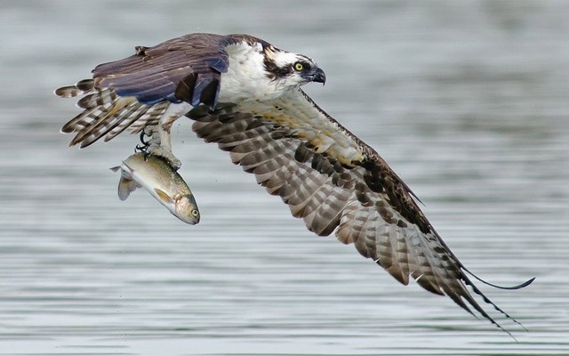 دیدنی های امروز