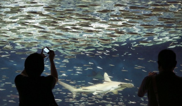 دیدنی های امروز