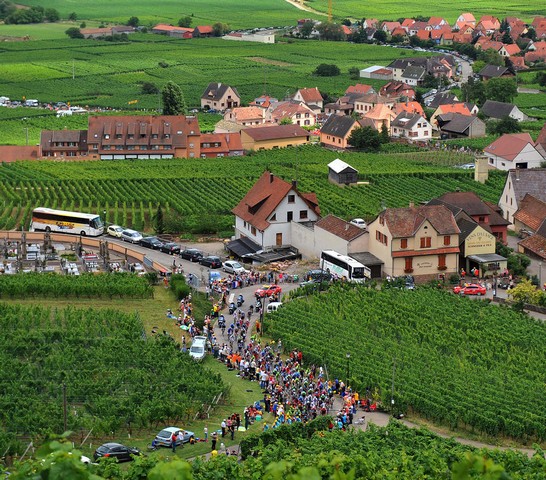 دیدنی های امروز