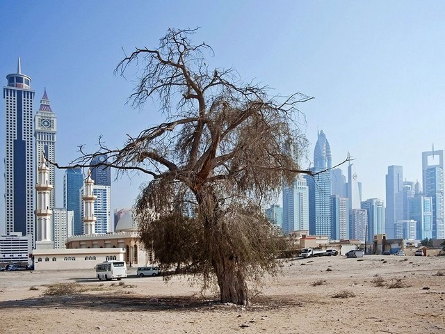 دیدنی های امروز