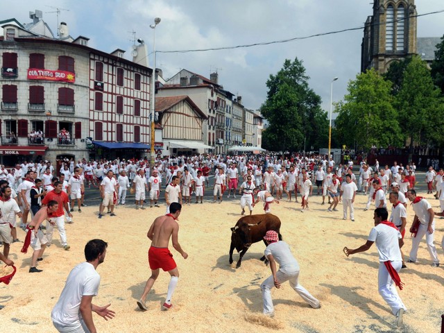 دیدنی های امروز دیدنی های امروز