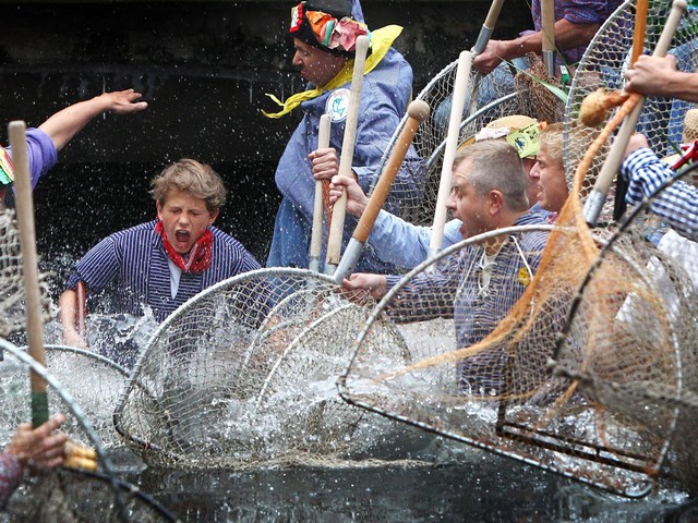 دیدنی های امروز دیدنی های امروز