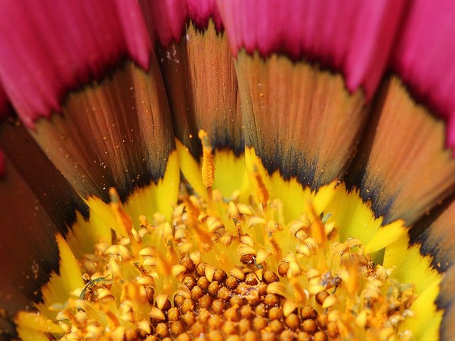 دیدنی های امروز دیدنی های امروز