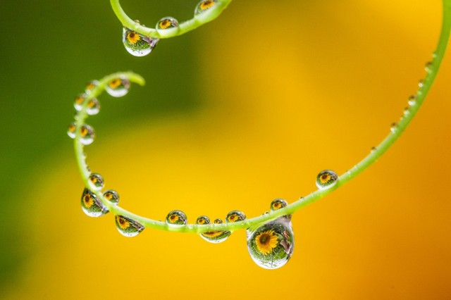 دیدنی های امروز دیدنی های امروز