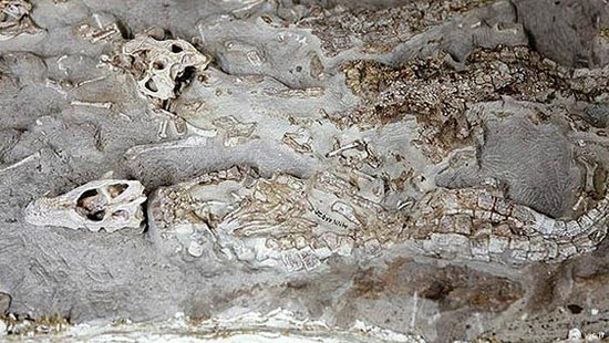 زیباییهای ایران؛ کرمان زیباییهای ایران؛ کرمان
