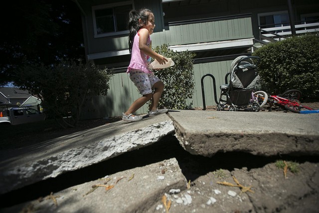 دیدنی های امروز