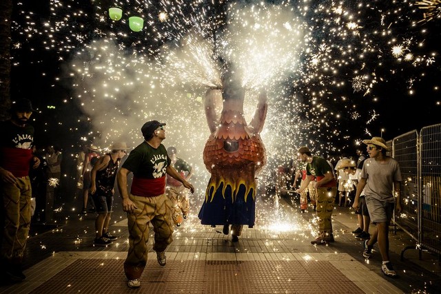 دیدنی های امروز