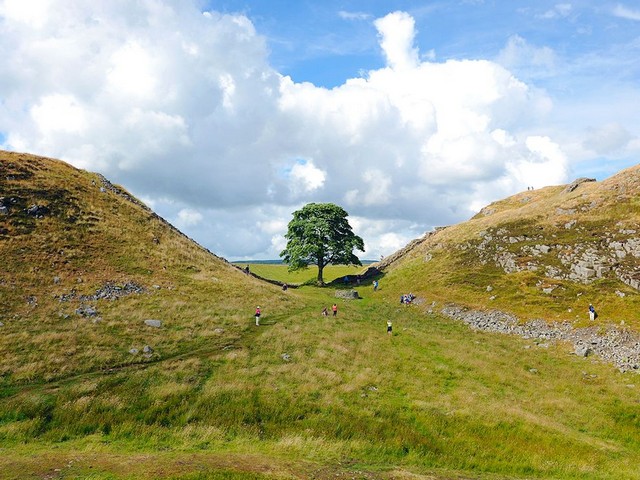 دیدنی های امروز