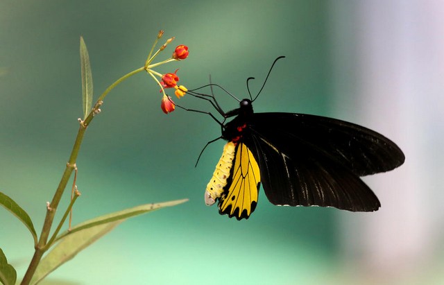 دیدنی های امروز