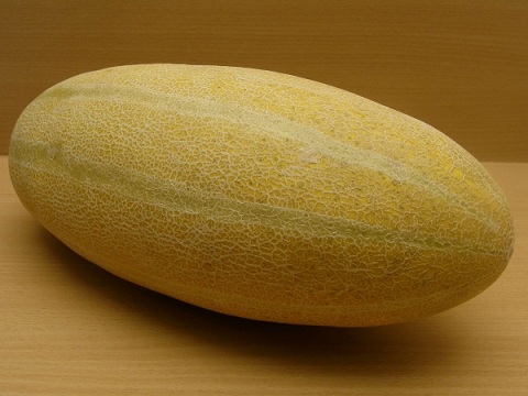 3038