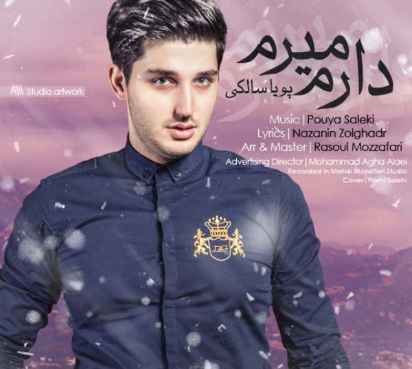 دانلود آهنگ جدید پویا سالکی با نام دارم میرم