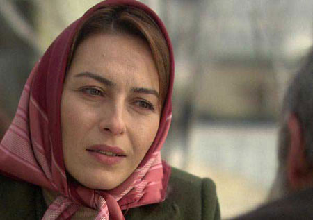 بیوگرافی (17)