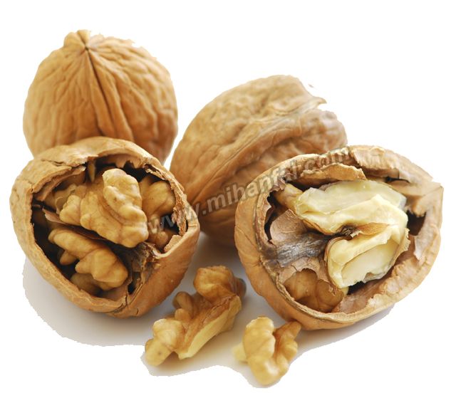 این خوراکی ها بدن شما را بیمه می کند!