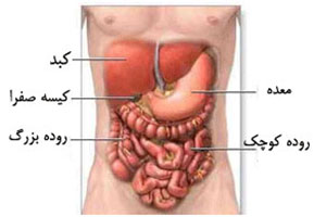 f6t8ribe
