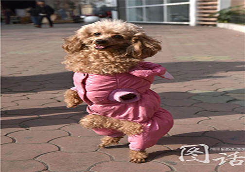 w3w7l0nx